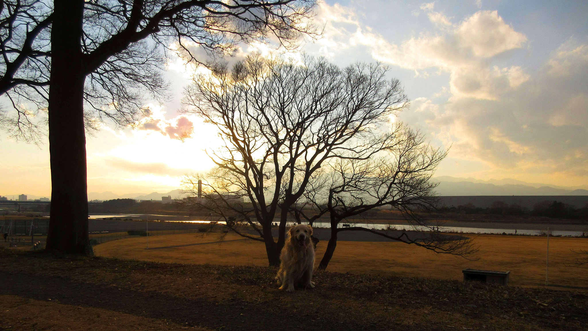 Canon PowerShot ELPH 360 HS (IXUS 285 HS / IXY 650) sample photo. Snapshot of the doggy walk: before sunset photography