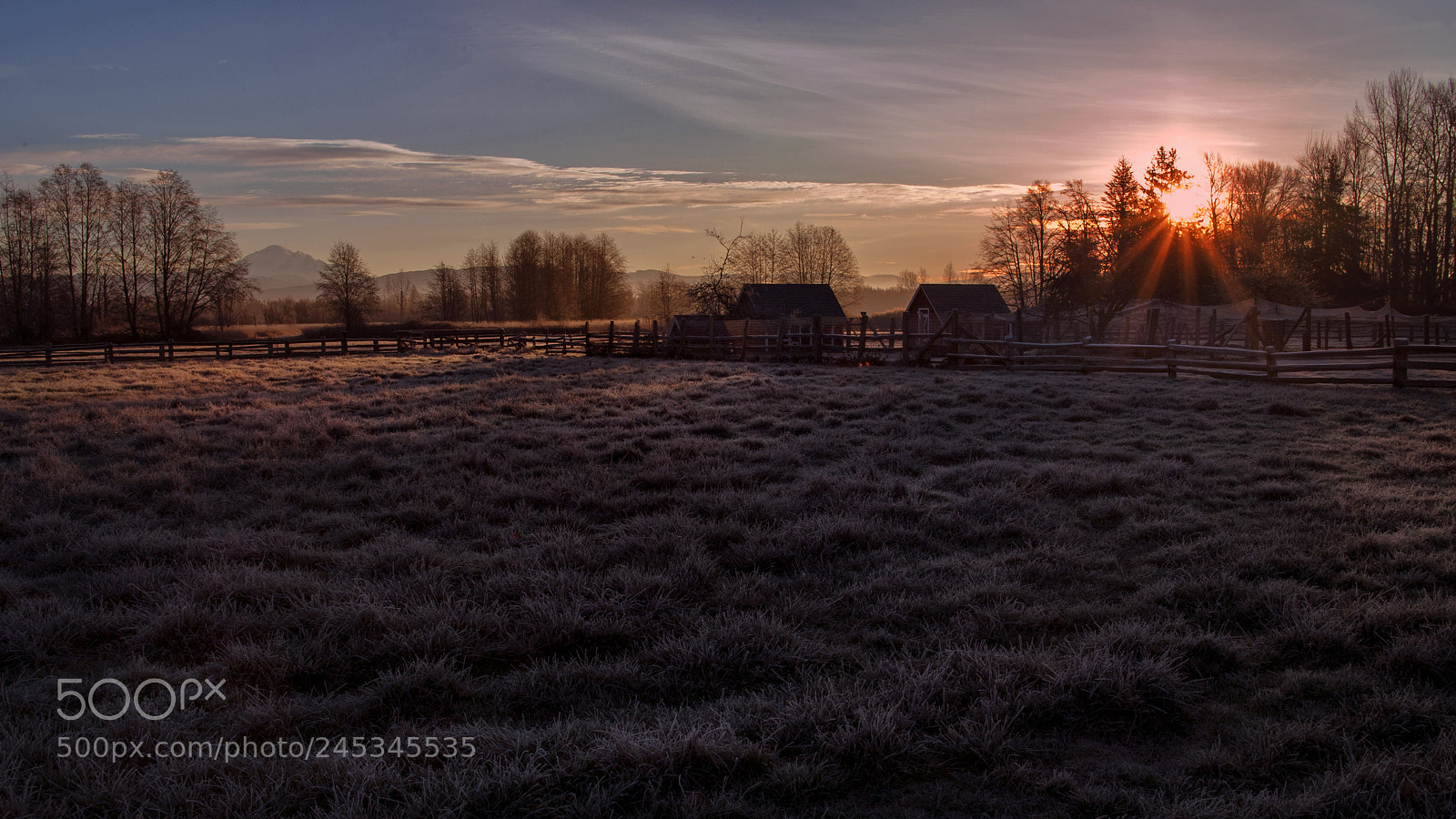 Canon EOS 5D sample photo. Morning frost photography