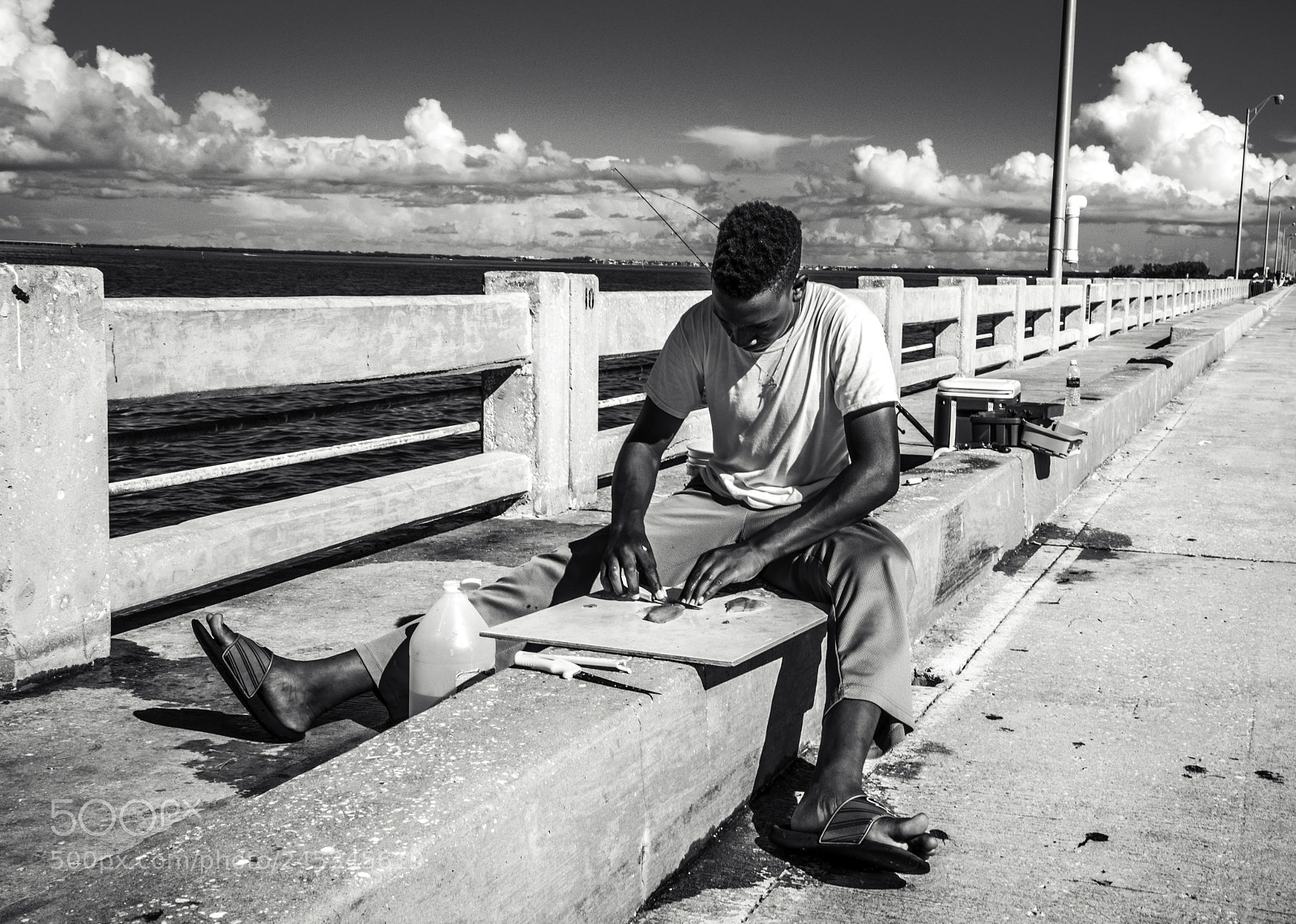 Nikon D810 sample photo. Fileting the catch photography
