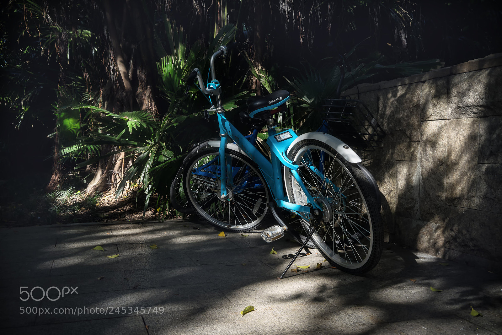 Sony a7 sample photo. Bike photography