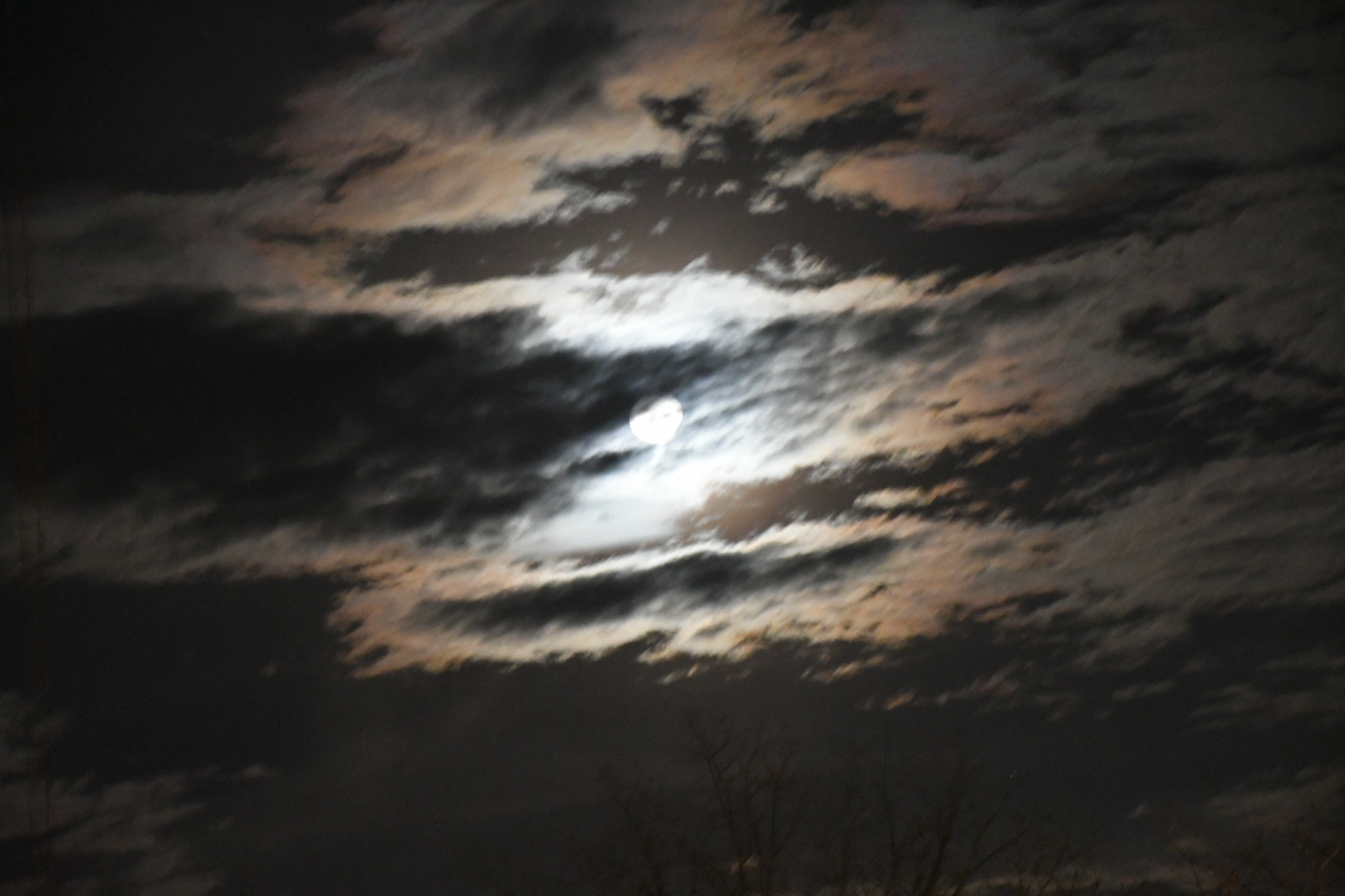 Nikon D7500 sample photo