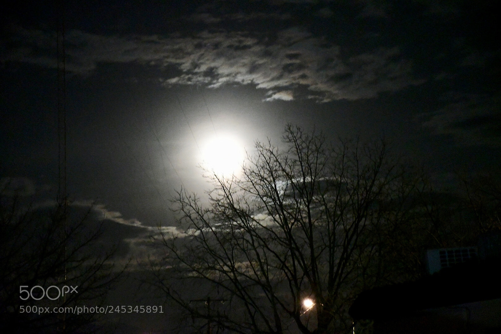 Nikon D7500 sample photo. Untitled photography