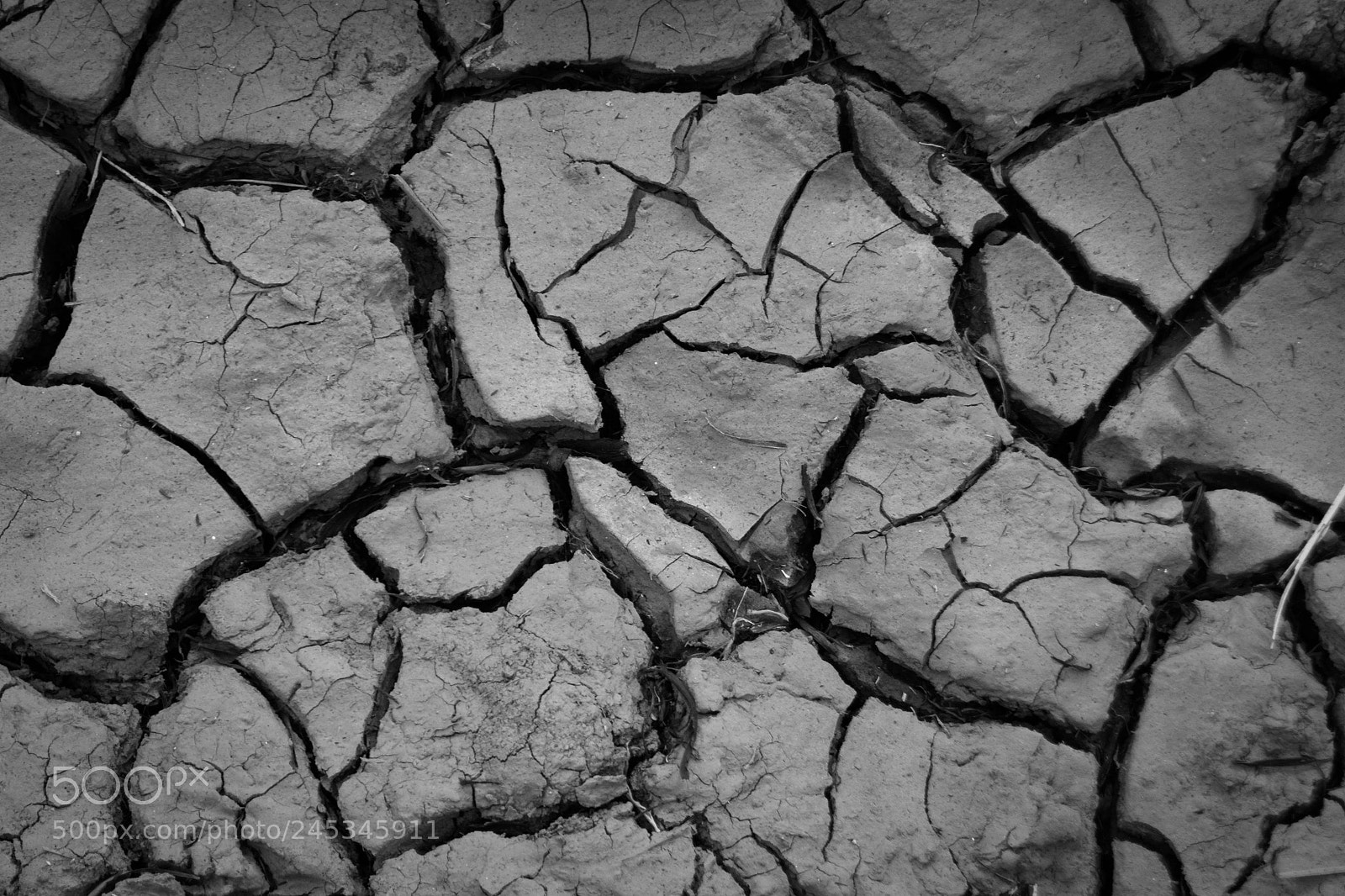 Nikon D3100 sample photo. Cracked mud photography