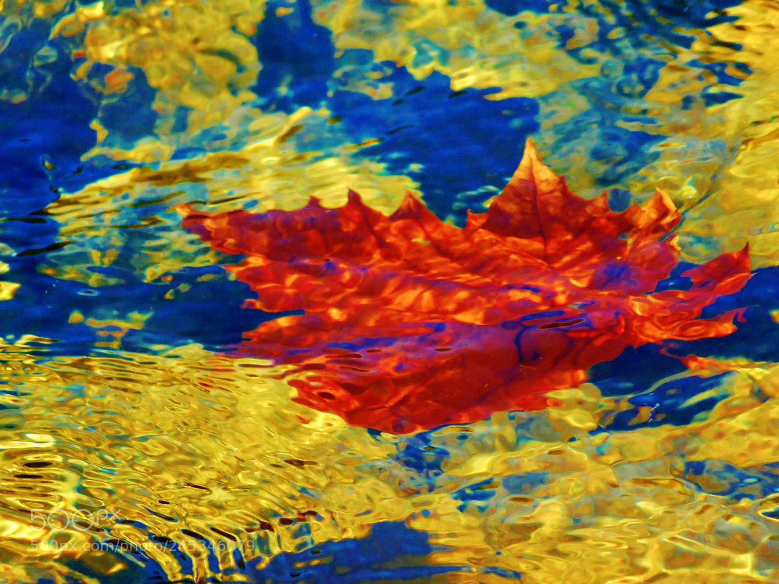 Nikon Coolpix L840 sample photo. On the water photography