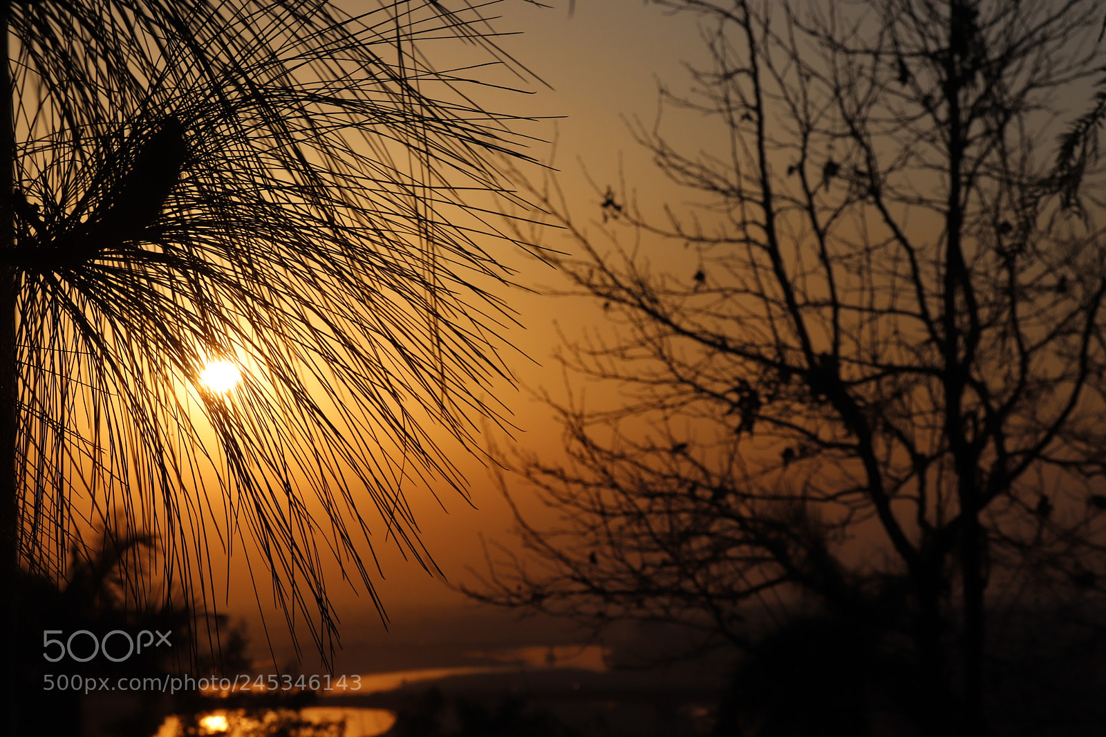Canon EOS 200D (EOS Rebel SL2 / EOS Kiss X9) sample photo. Sunsets photography