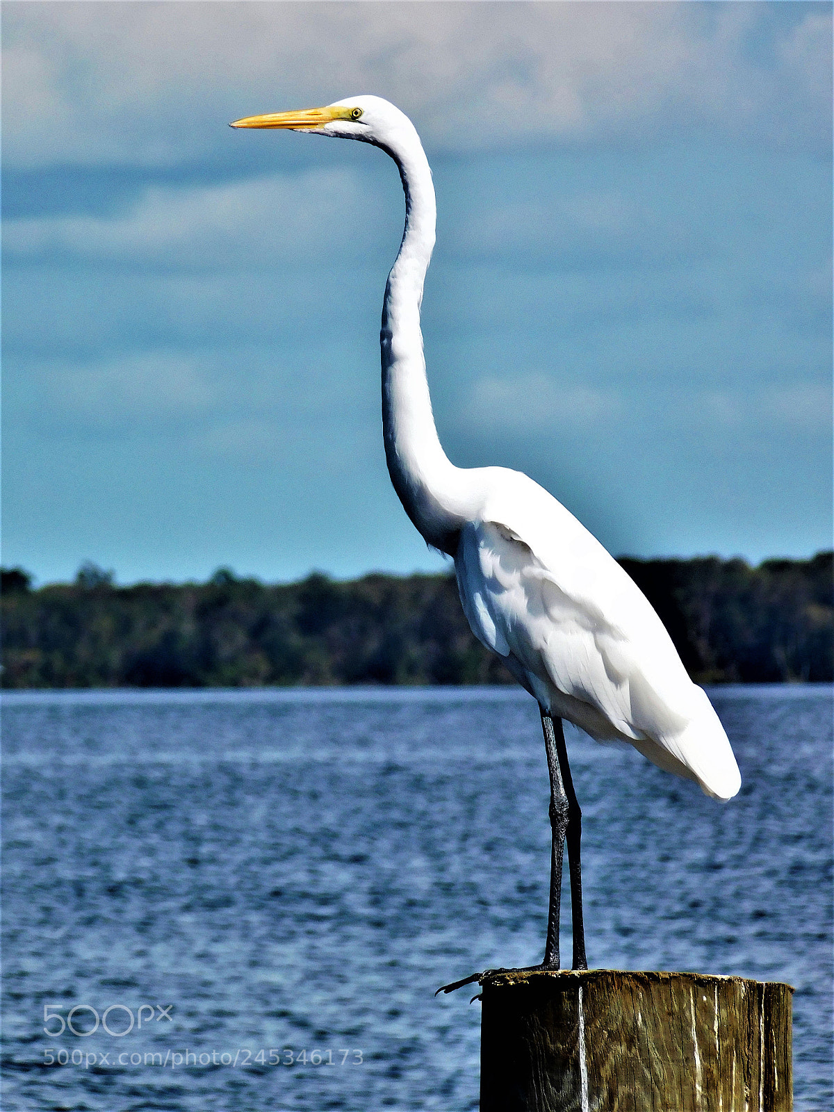 Nikon Coolpix L840 sample photo. On the water photography