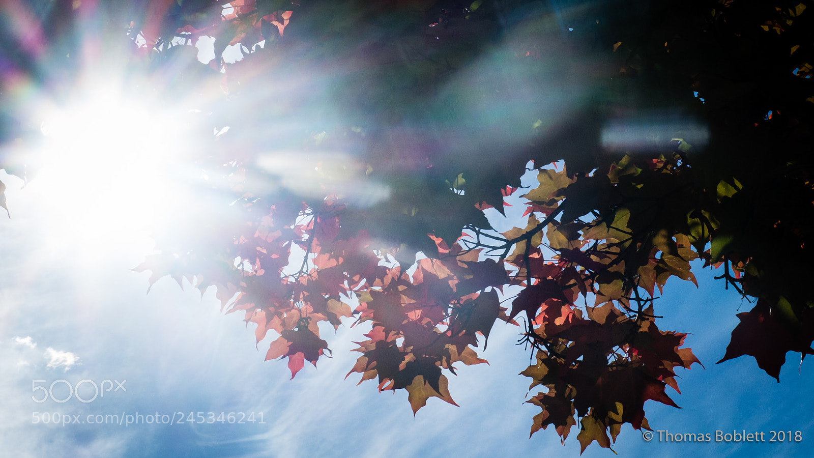 Canon PowerShot G16 sample photo. Autumn sunlight photography