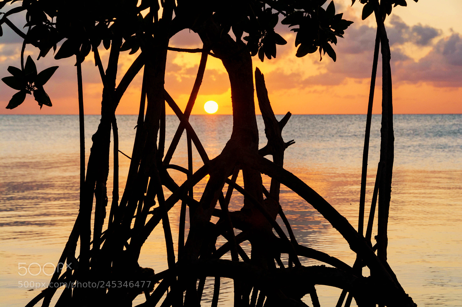 Nikon D7100 sample photo. Sun sets in the photography