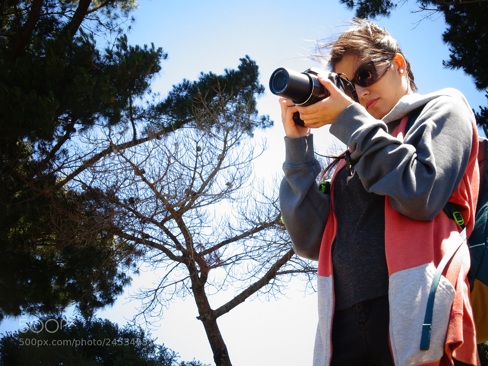 Sony Cyber-shot DSC-HX400V sample photo. Compañera de vida photography