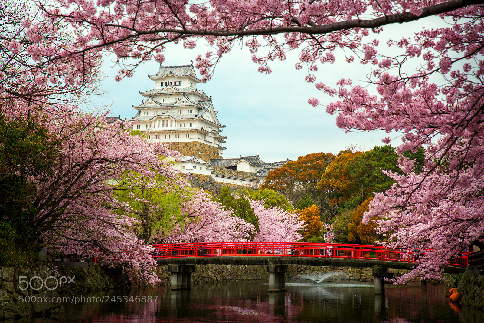 Nikon D800 sample photo. Himeji castle photography