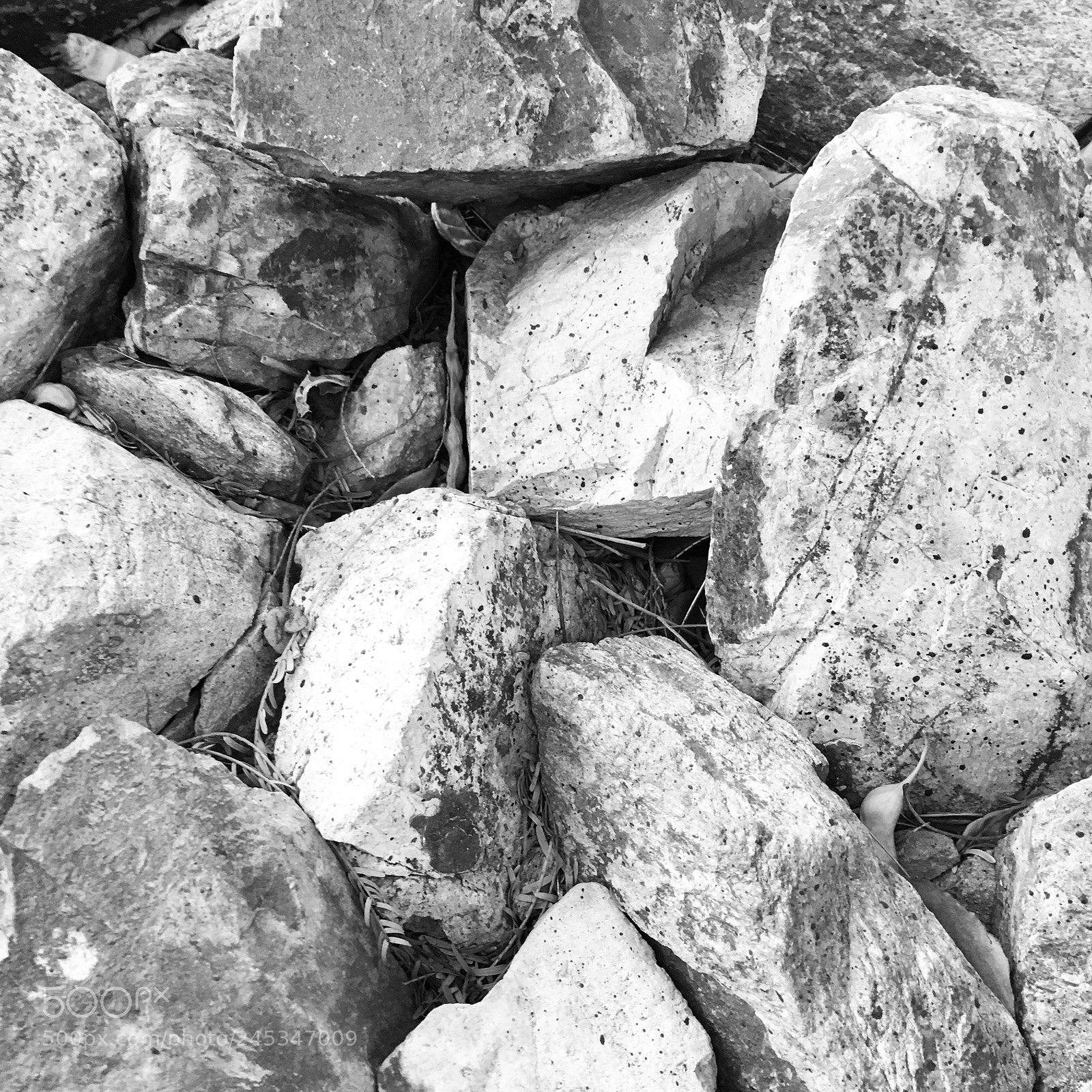 Apple iPhone 6s sample photo. Untitled photography
