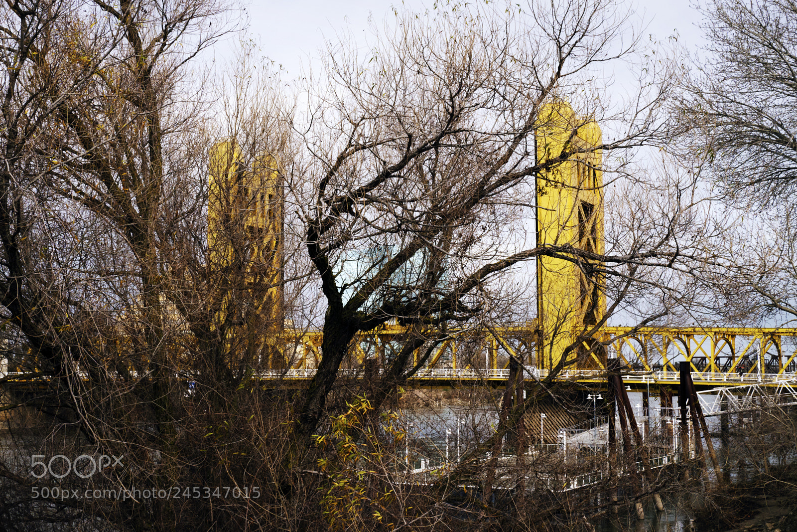 Panasonic Lumix DMC-G5 sample photo. Lumix trees bridge 456 photography