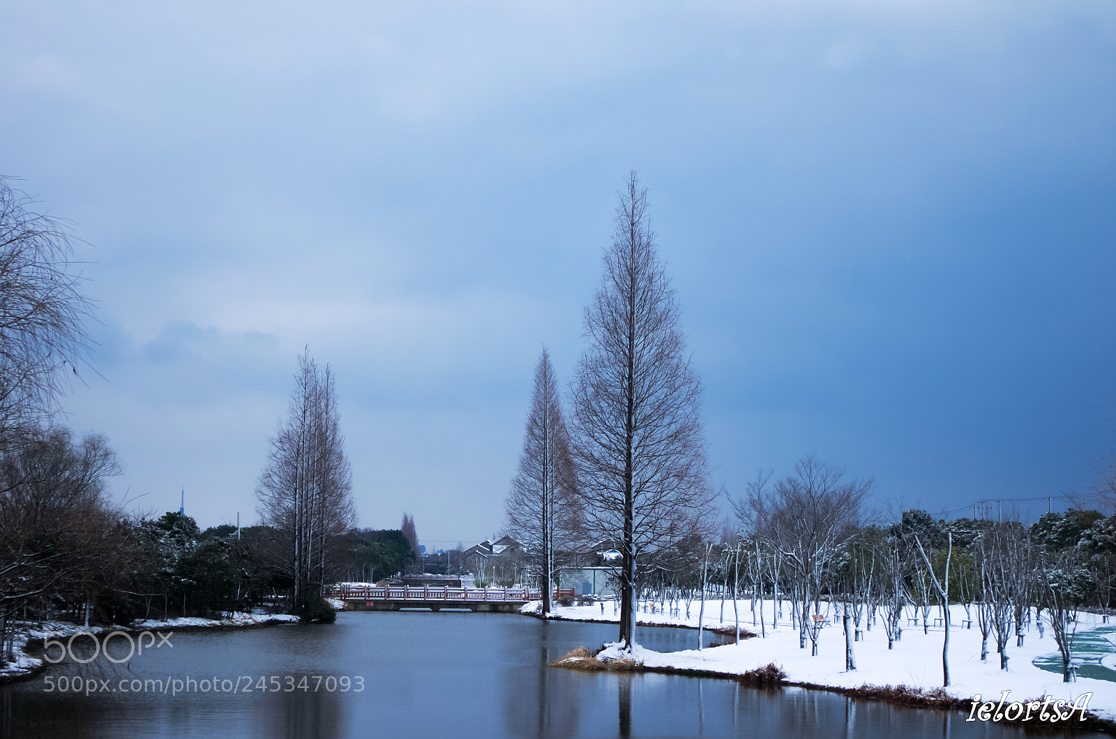 Pentax K-5 sample photo. Snow photography