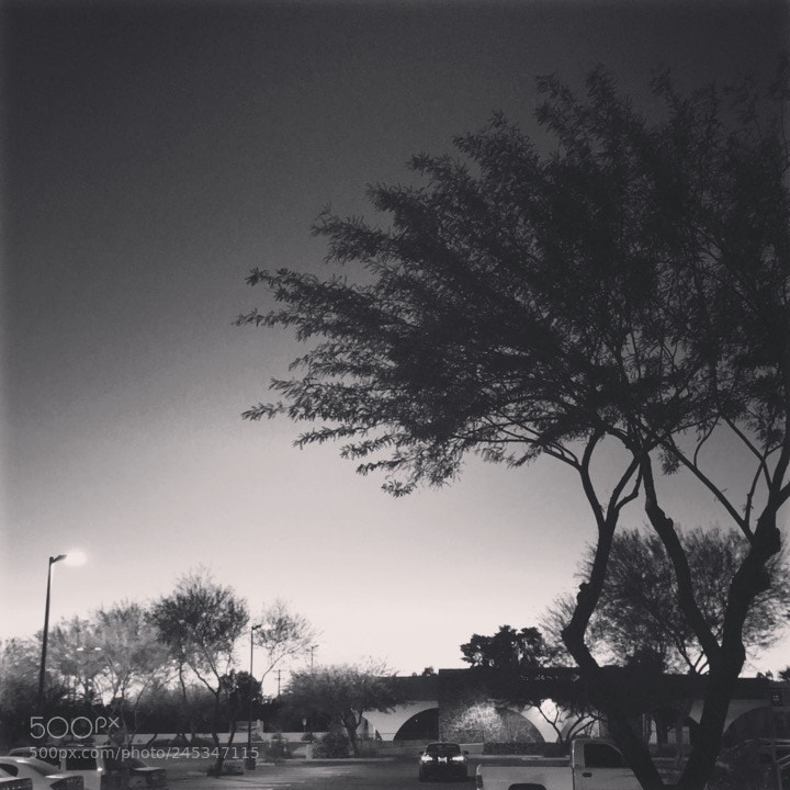 Apple iPhone 6s sample photo. Untitled photography