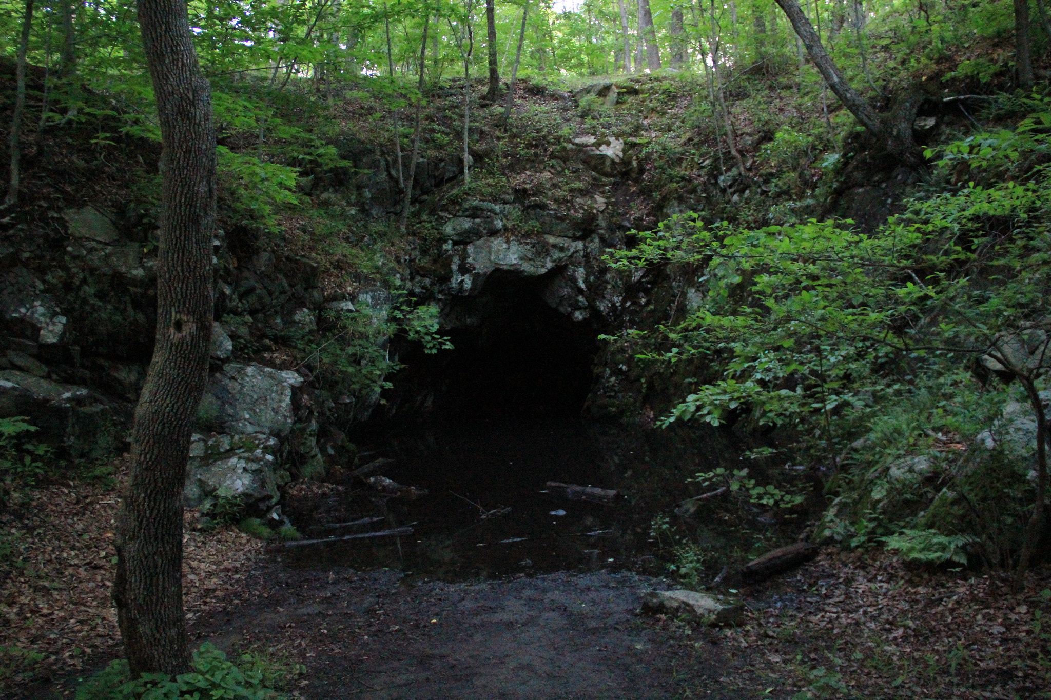 Canon EOS 550D (EOS Rebel T2i / EOS Kiss X4) sample photo. Cave photography