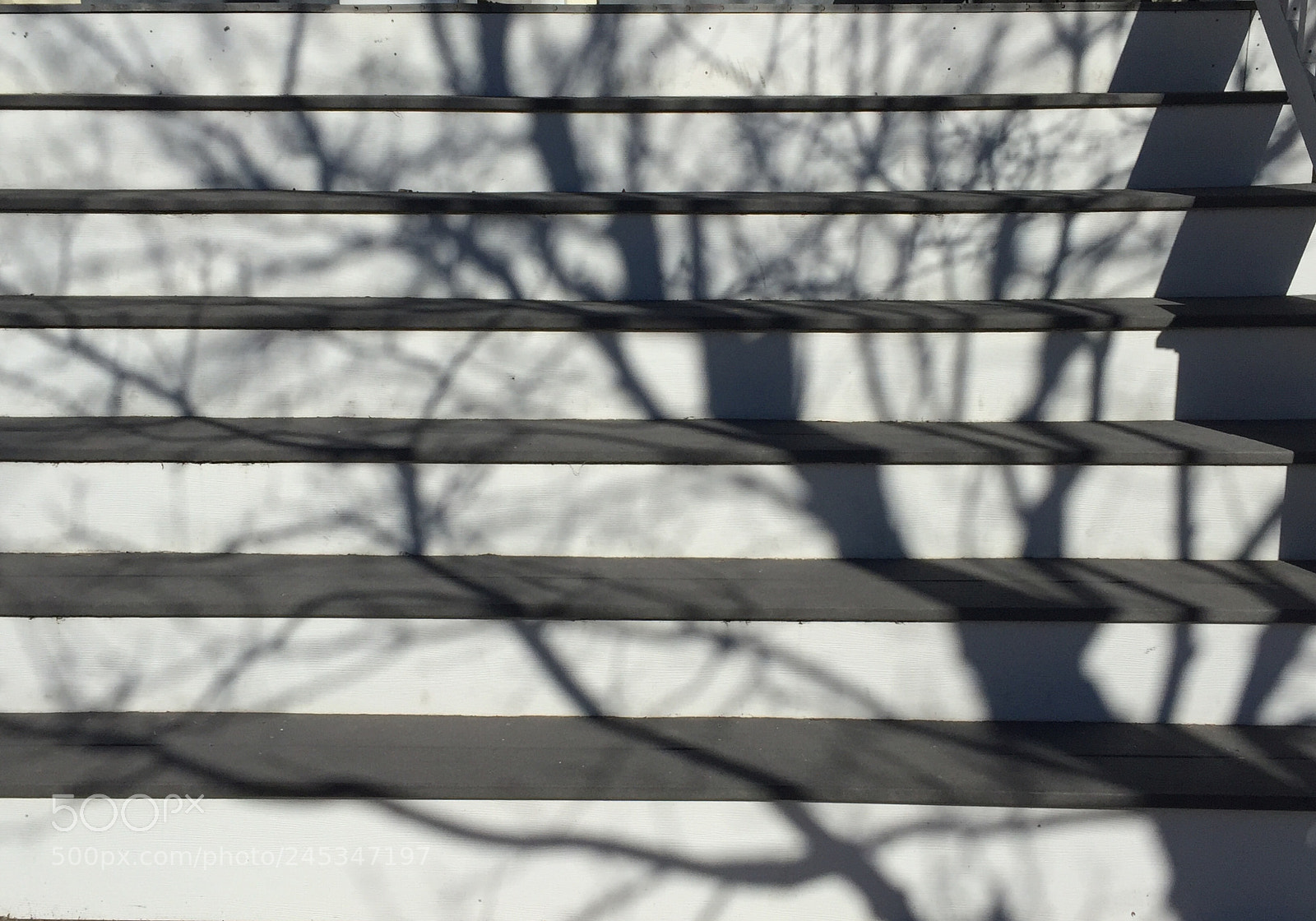 Apple iPhone 6 sample photo. Resting on wooden stairs... photography