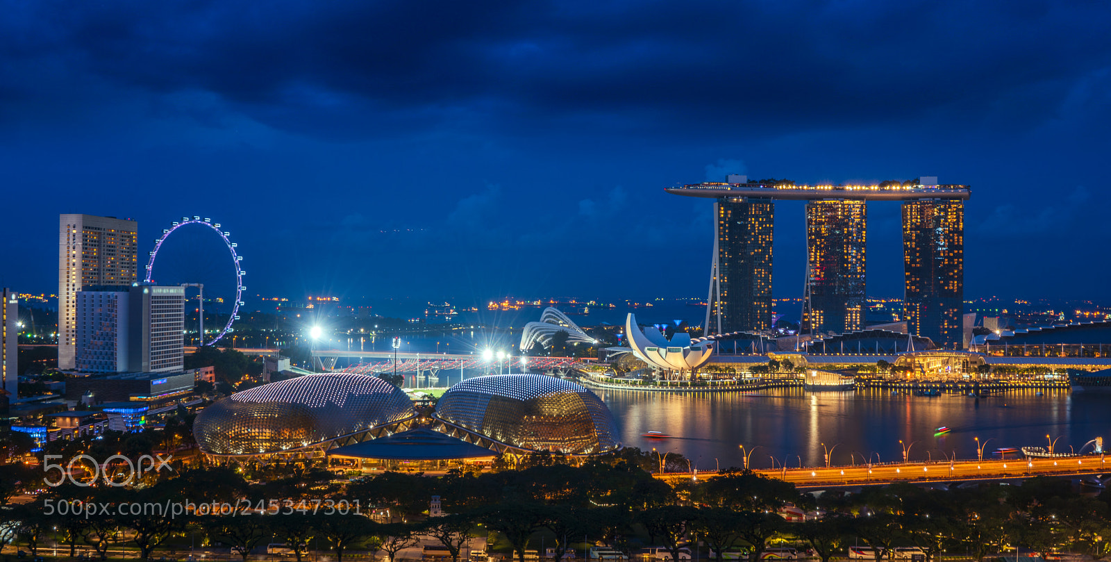 Sony a7R II sample photo. 39221332035.jpg photography