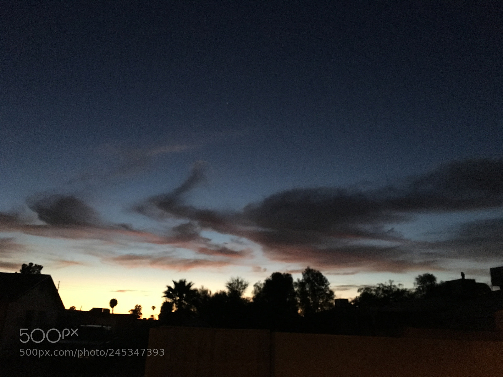 Apple iPhone 6s sample photo. Untitled photography