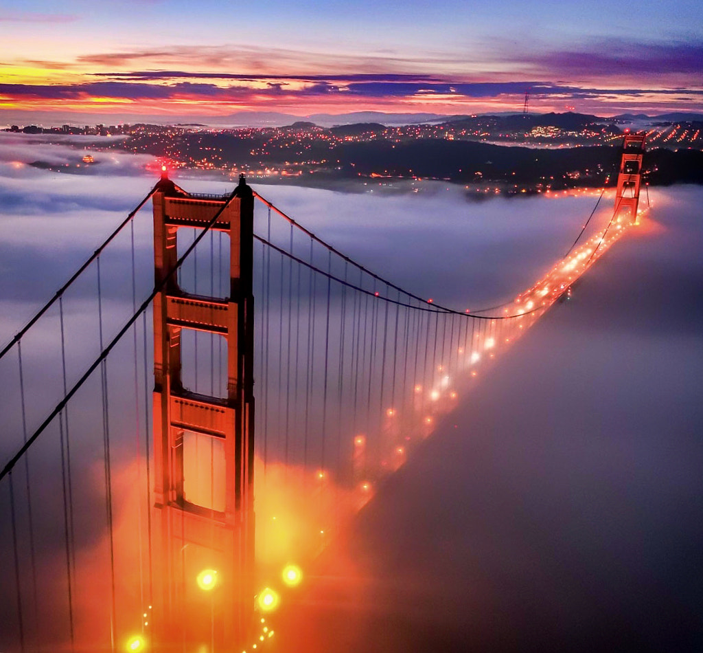 “High Flying” by Kelly Needleman on 500px.com