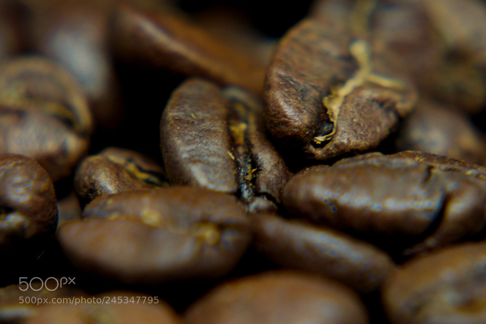 Sony a6300 sample photo. Coffee beans photography