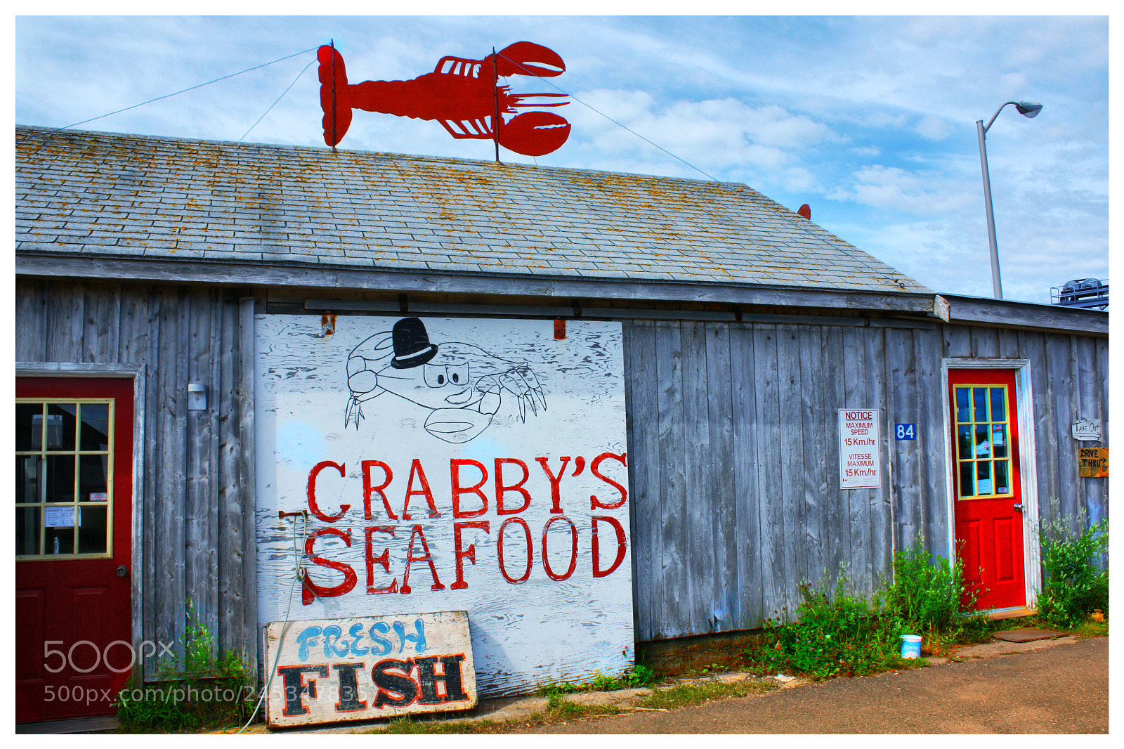Canon EOS 450D (EOS Rebel XSi / EOS Kiss X2) sample photo. Crabby fish place photography