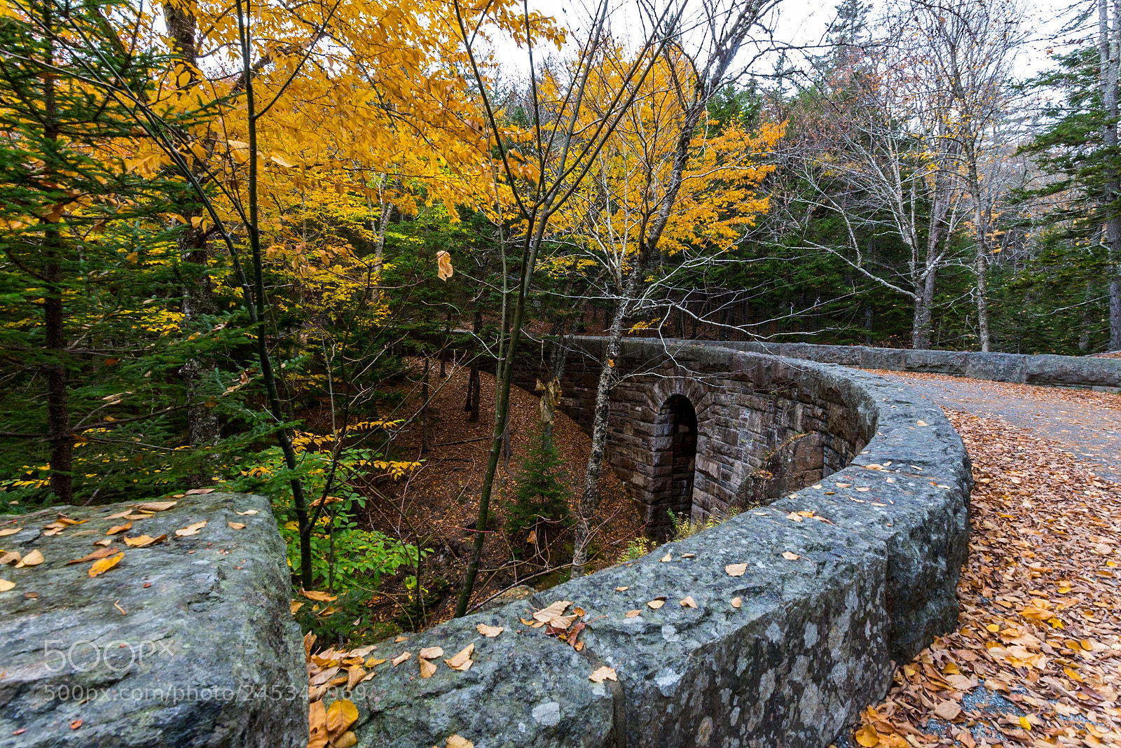 Nikon D800E sample photo. Acadia np photography