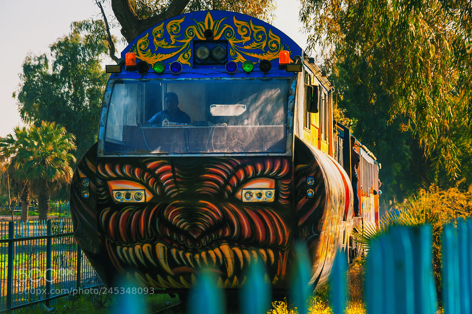 Sony Alpha DSLR-A350 sample photo. Locomotive of fun ii photography