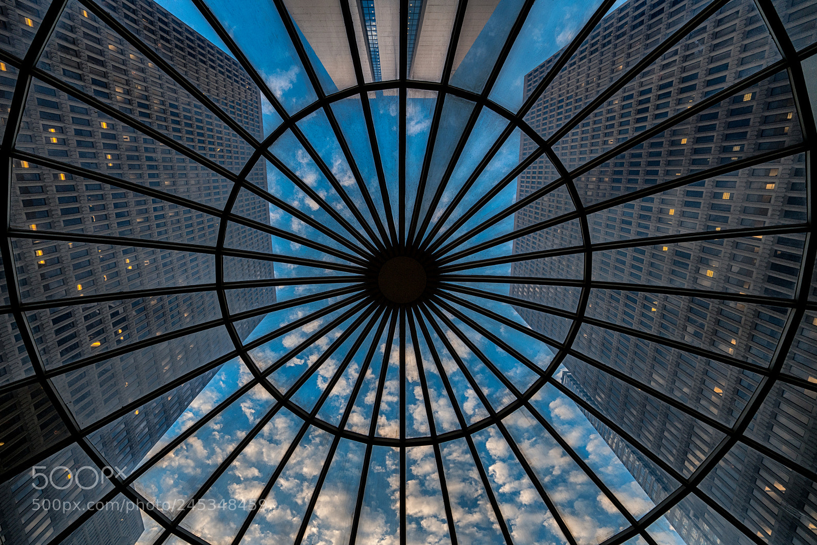 Sony a7R III sample photo. Look up photography