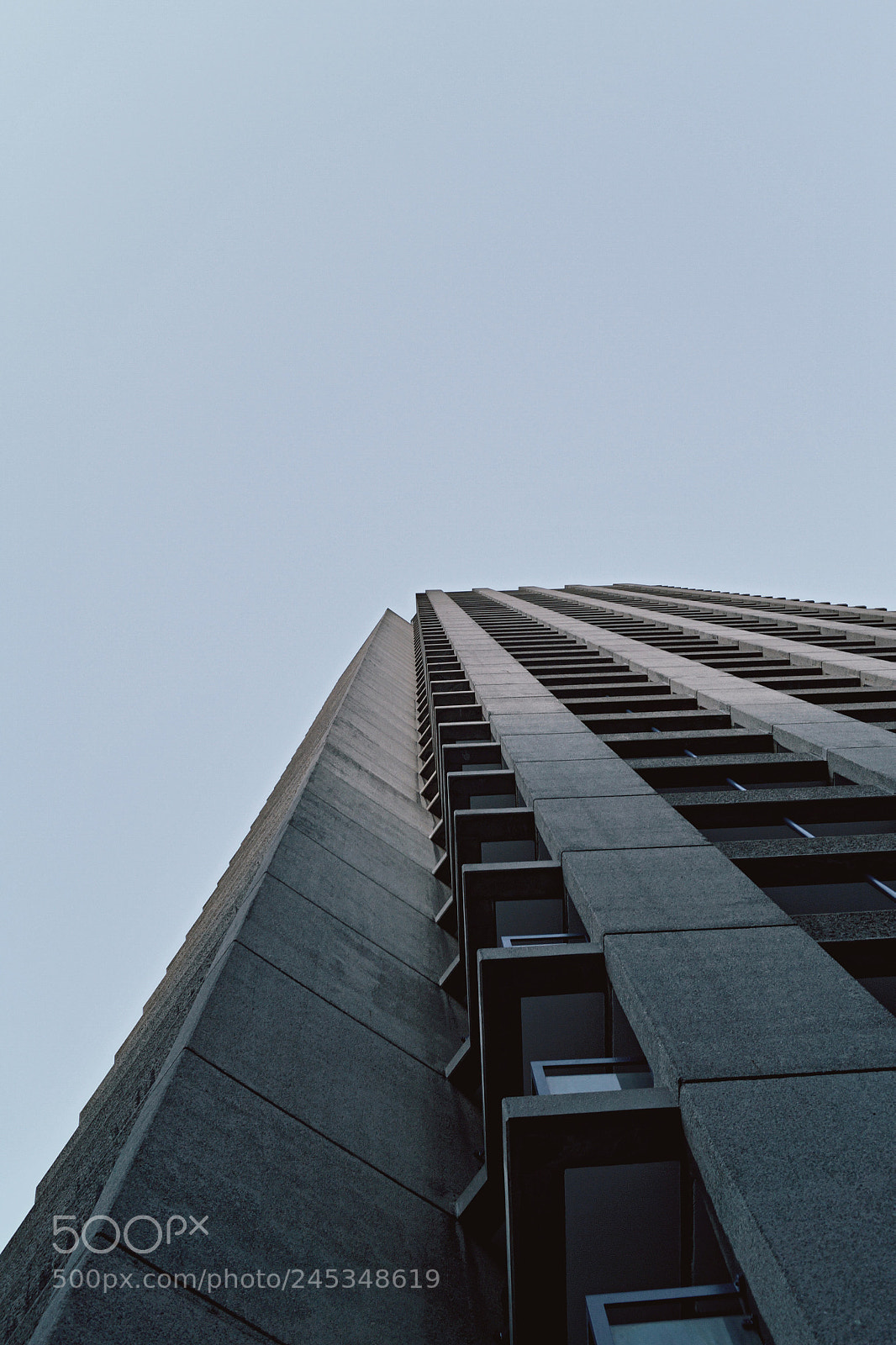 Sony SLT-A58 sample photo. Img photography