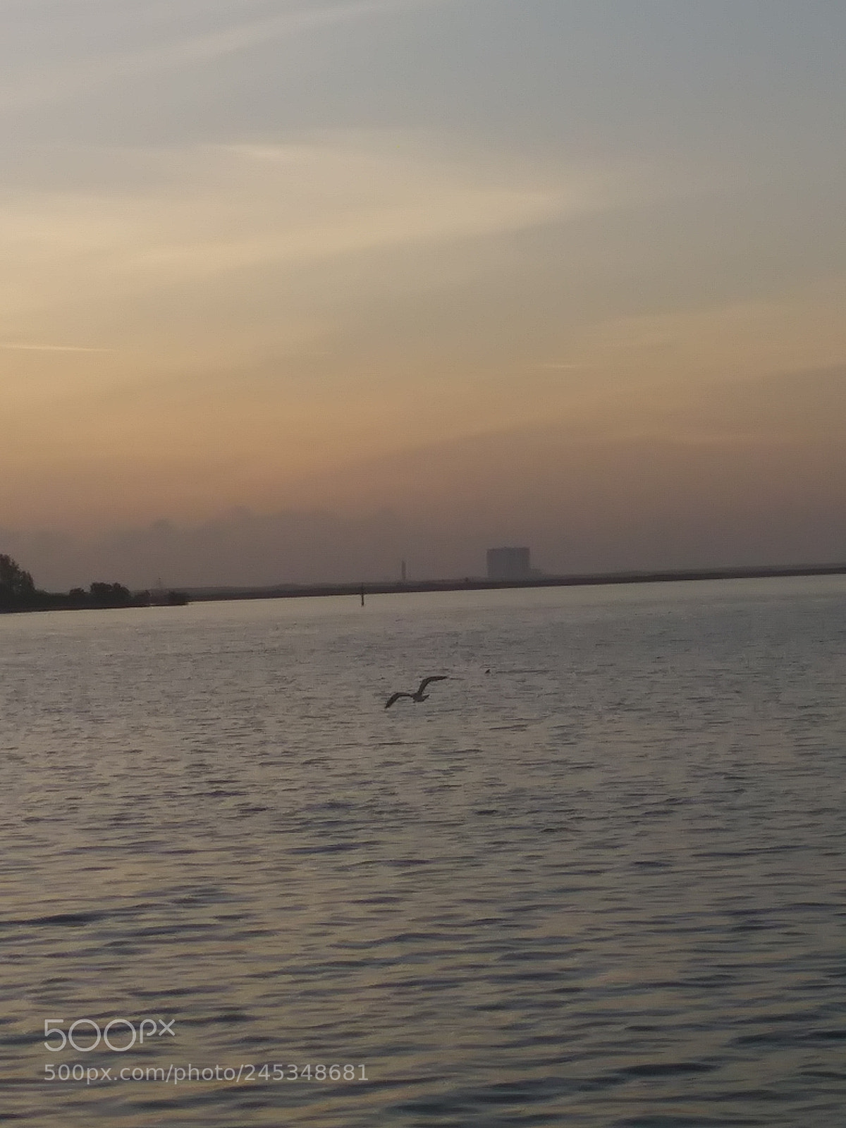 LG ARISTO sample photo. Untitled photography