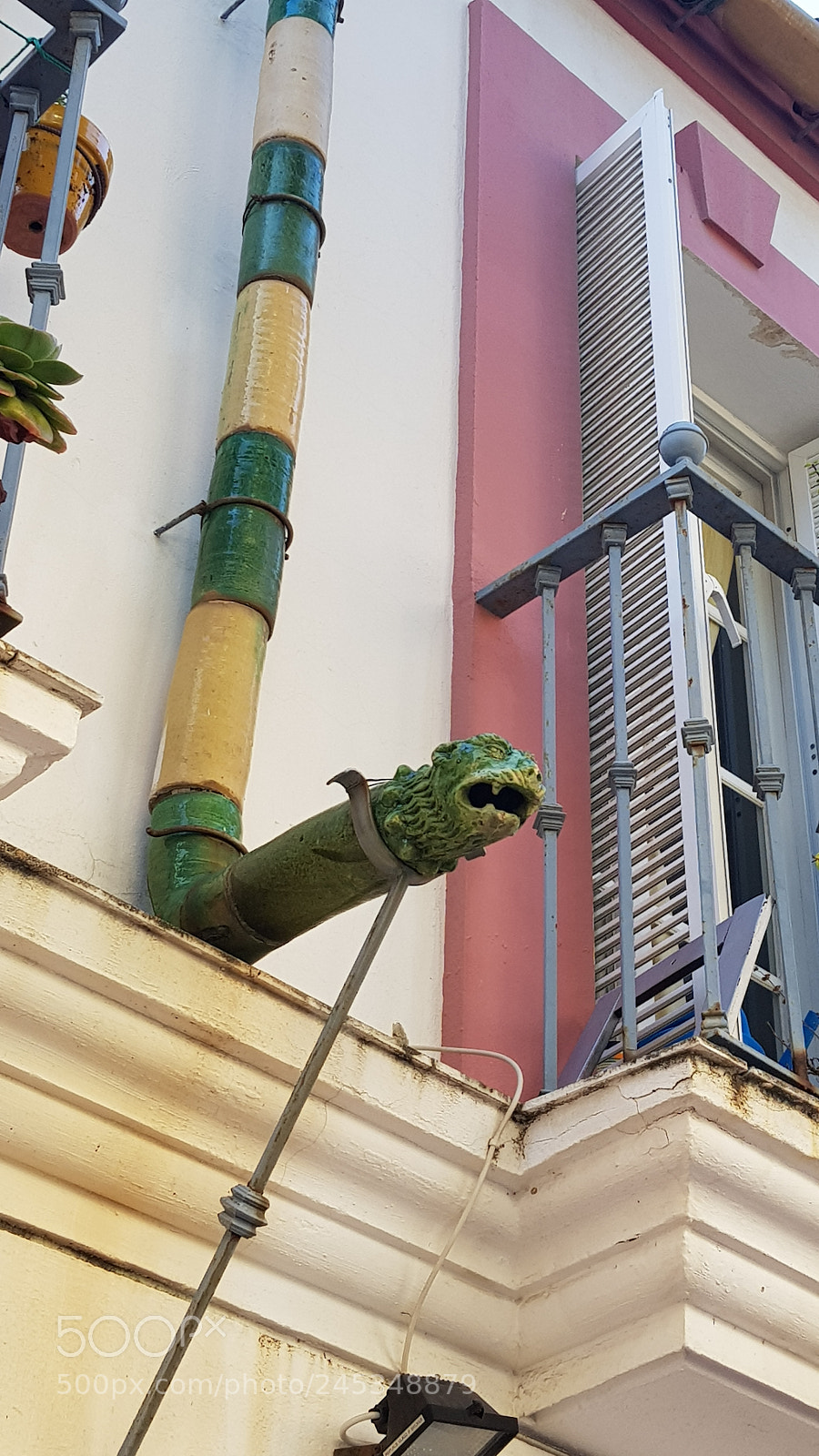Samsung Galaxy S8+ sample photo. Water dragon photography