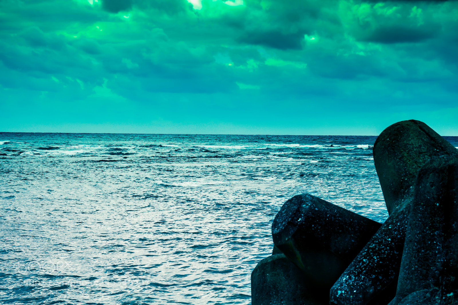 Nikon D7500 sample photo. Mav photography #mavphotographyofficial photography