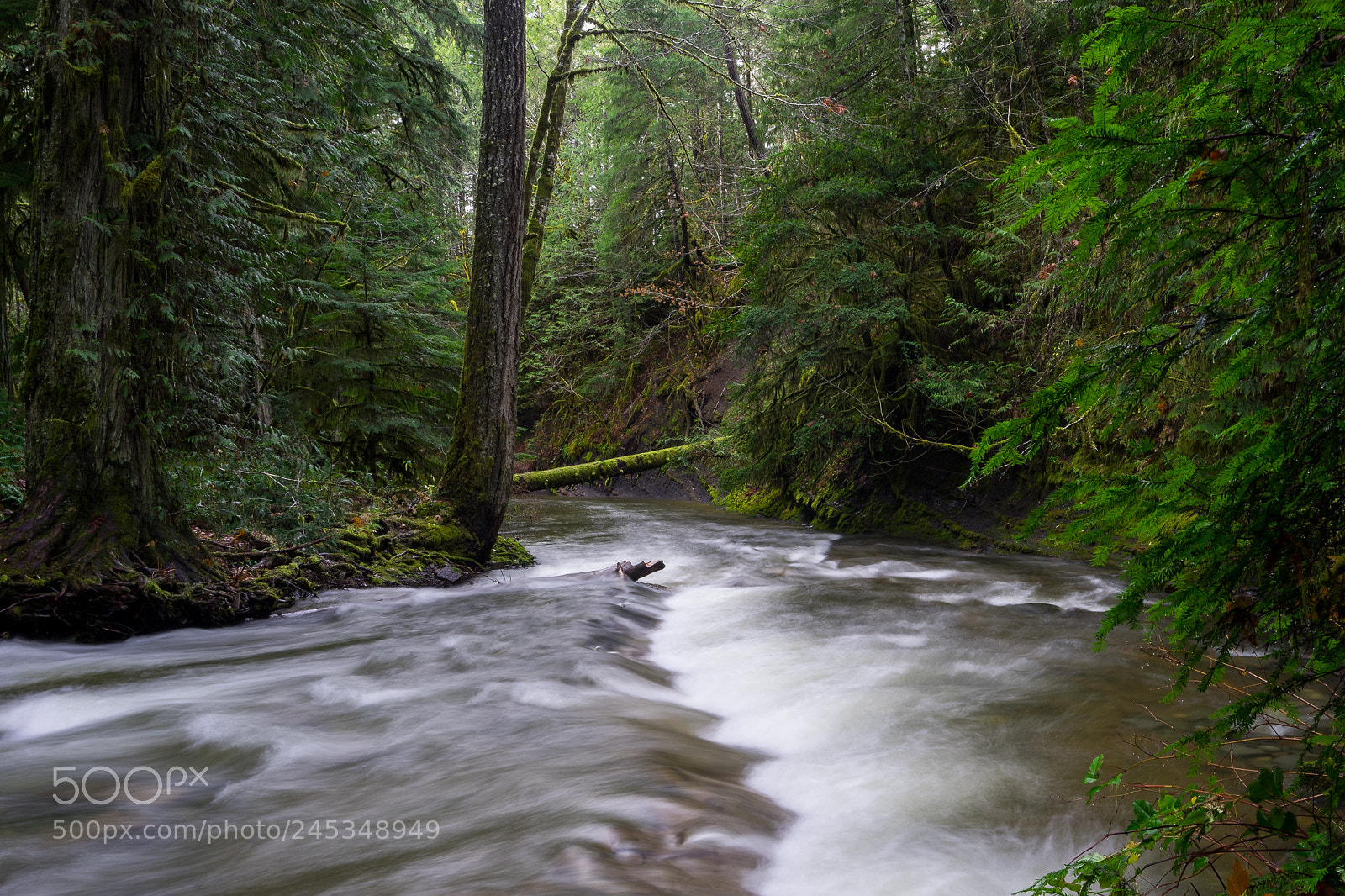 Sony a7 sample photo. Roger creek photography