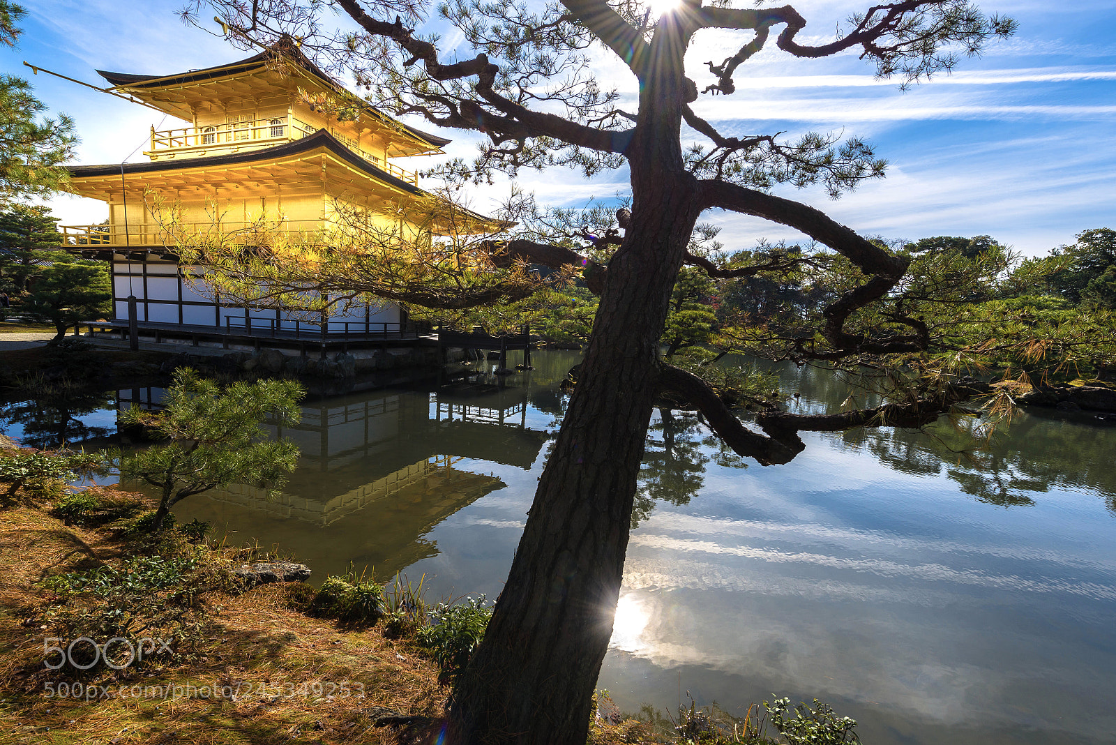 Nikon D610 sample photo. Kyoto, japan. kinkaku-ji temple. photography