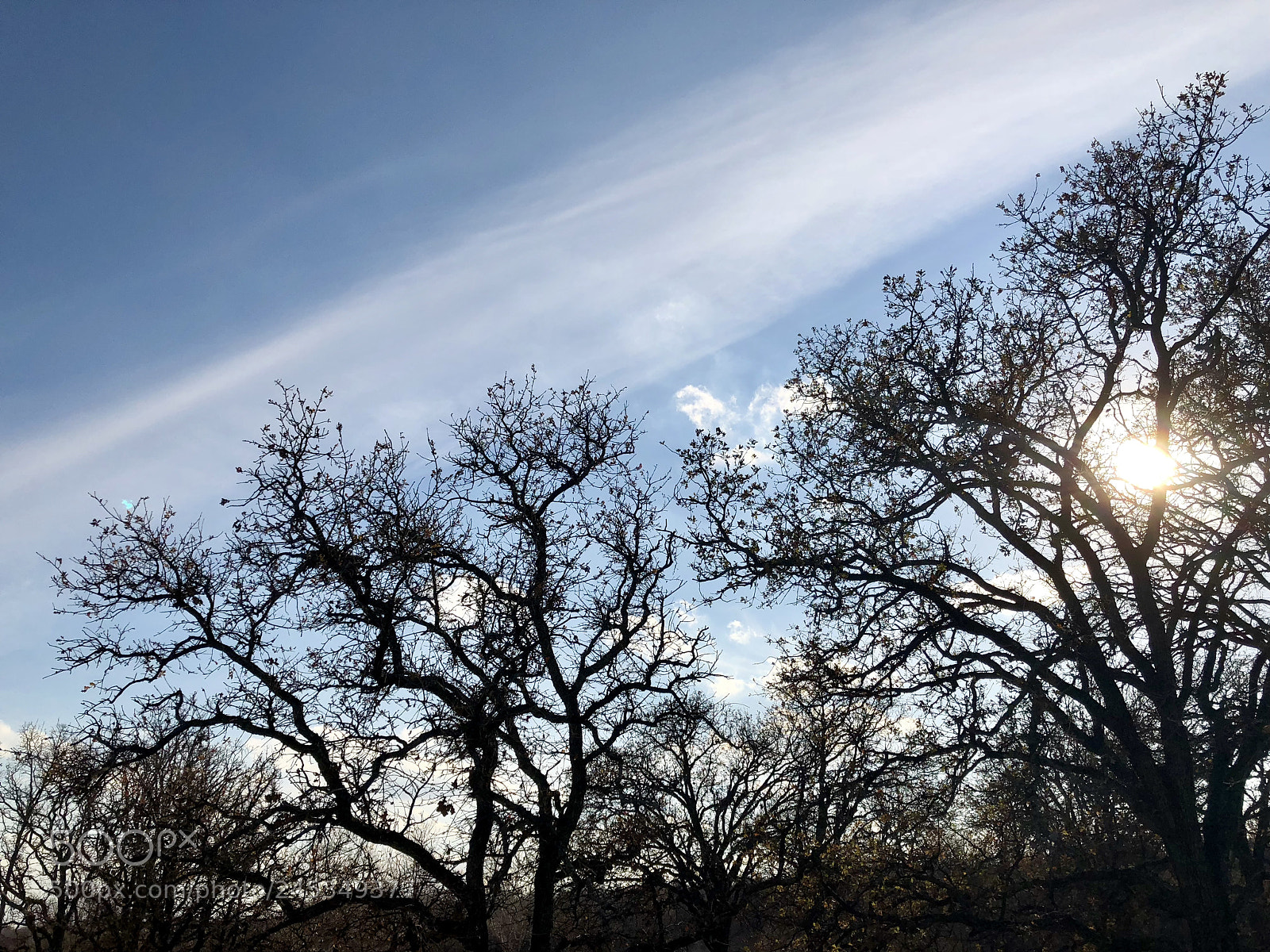 Apple iPhone X sample photo. Timing photography