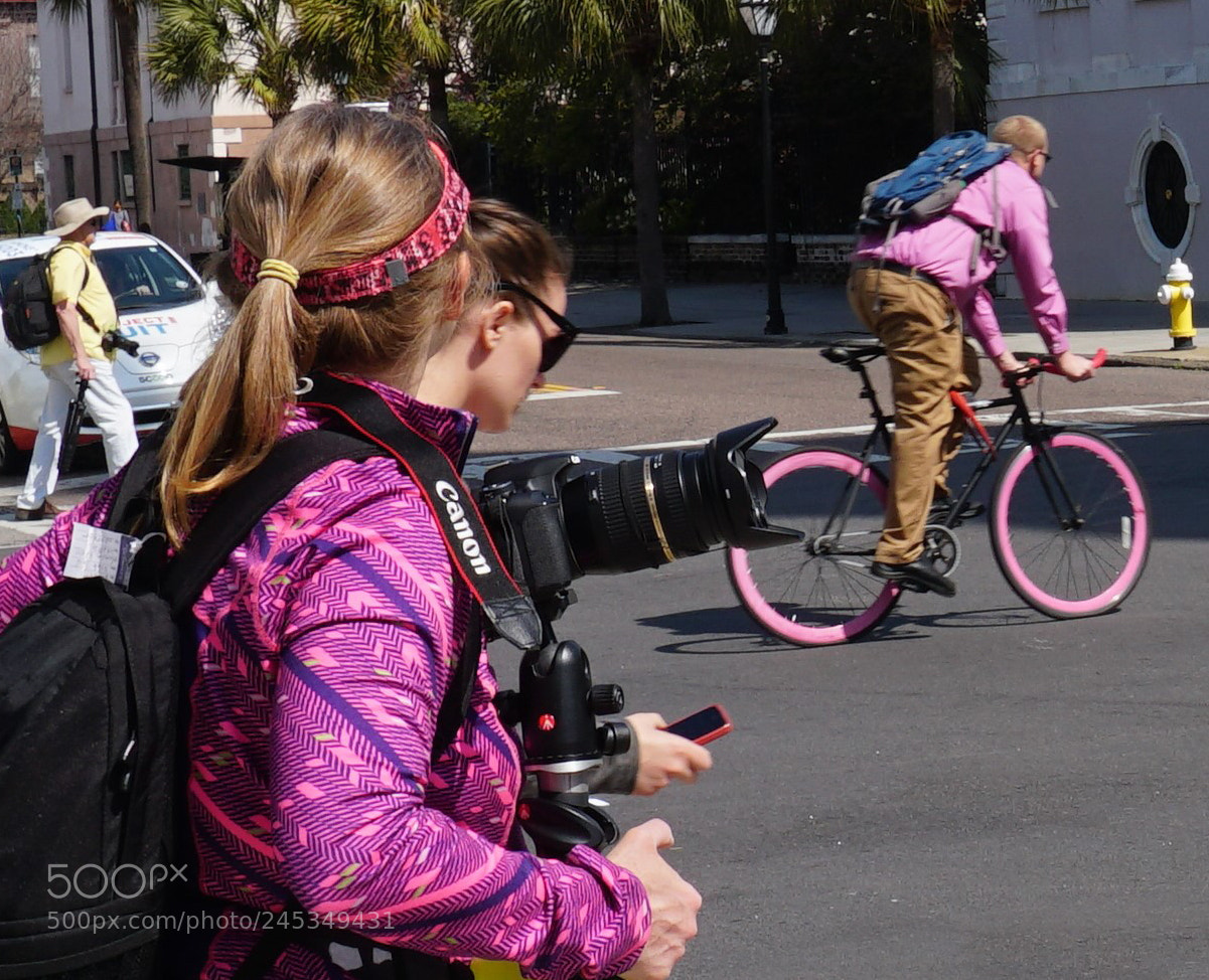 Sony a6500 sample photo. Pink photo walk photography