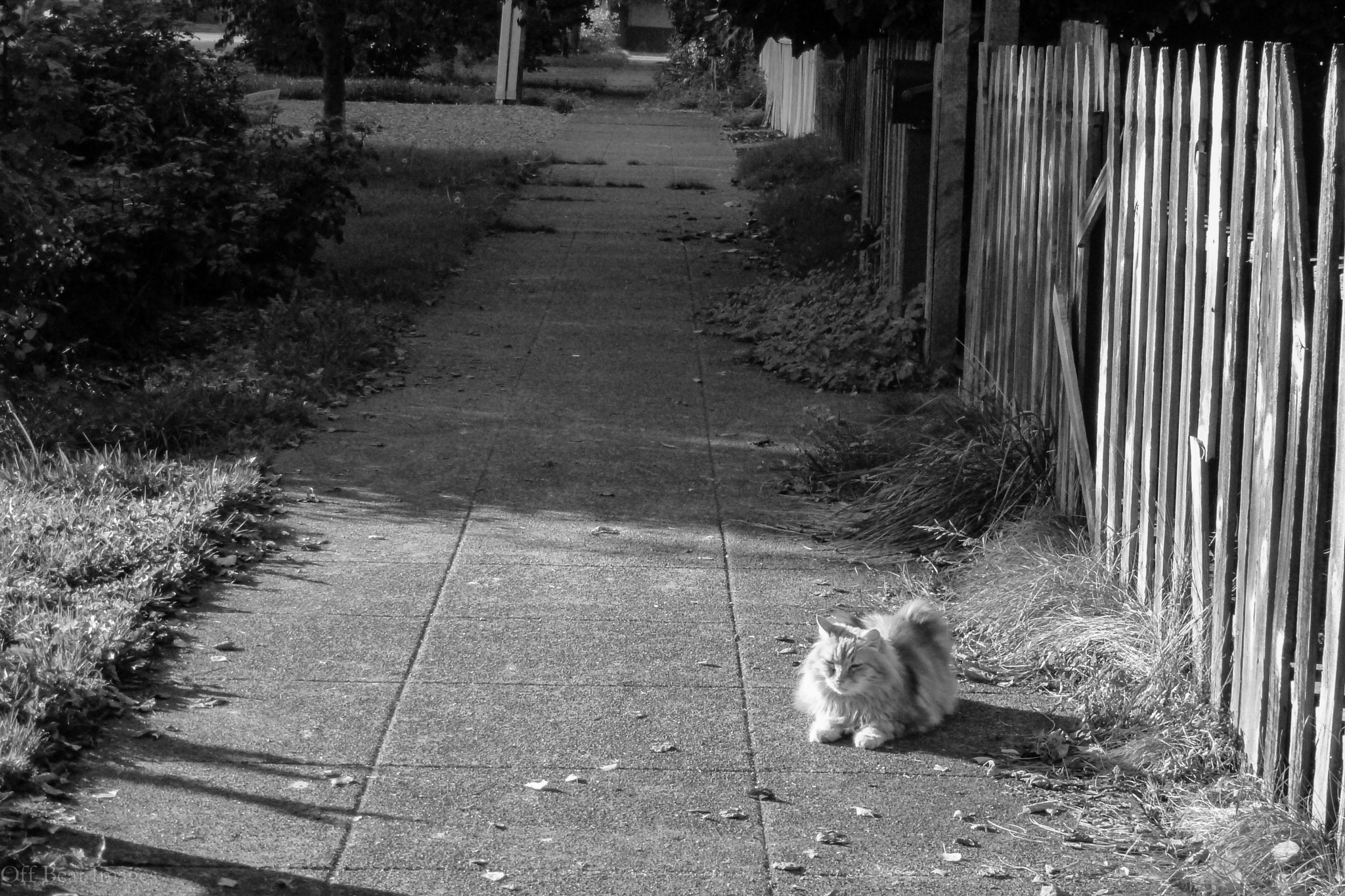 Panasonic DMC-ZS10 sample photo. Fo photography
