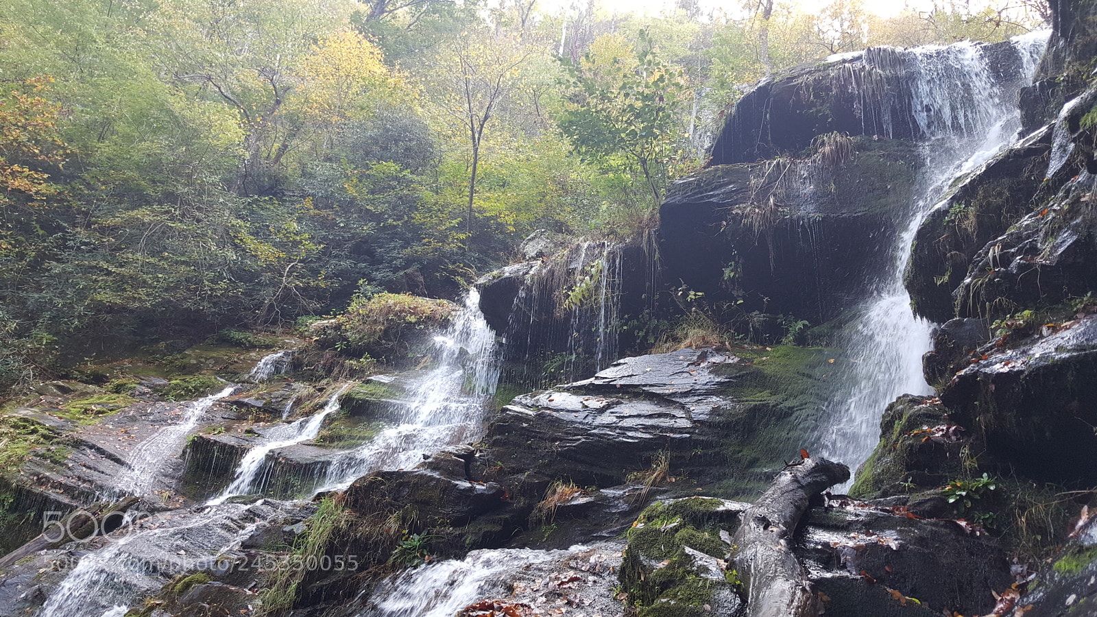 Samsung Galaxy Note5 sample photo. A walk in the photography