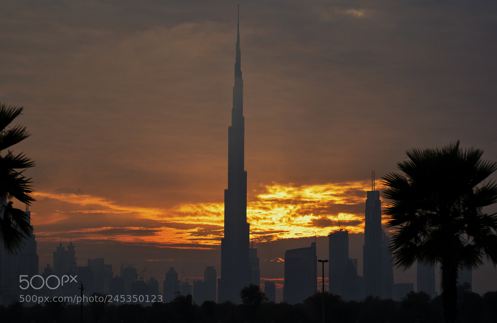 Nikon D3400 sample photo. The silhouette photography
