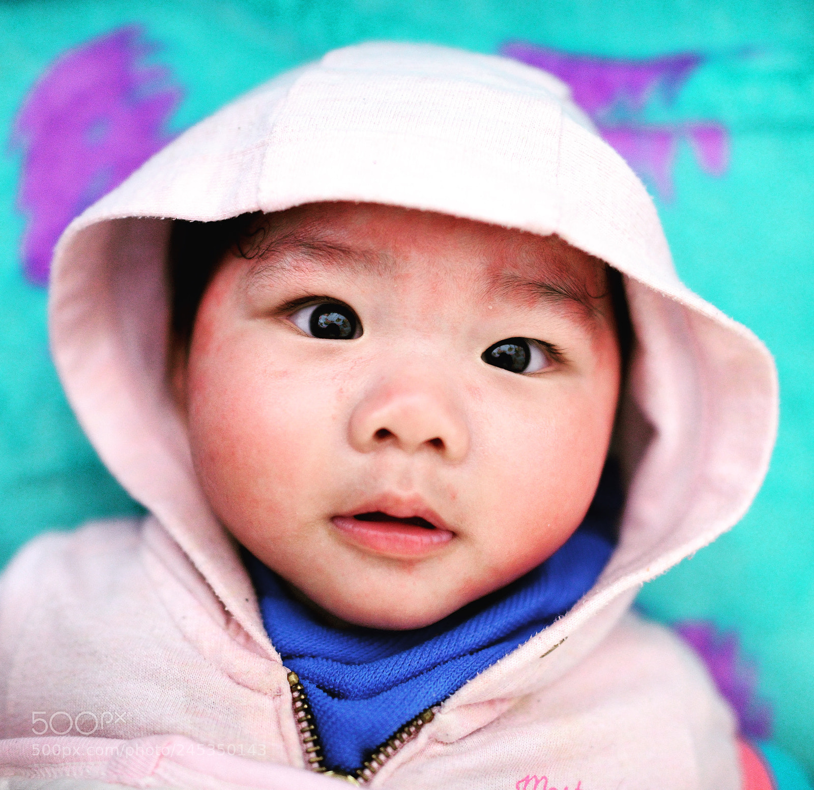 Nikon D800 sample photo. Untitled photography
