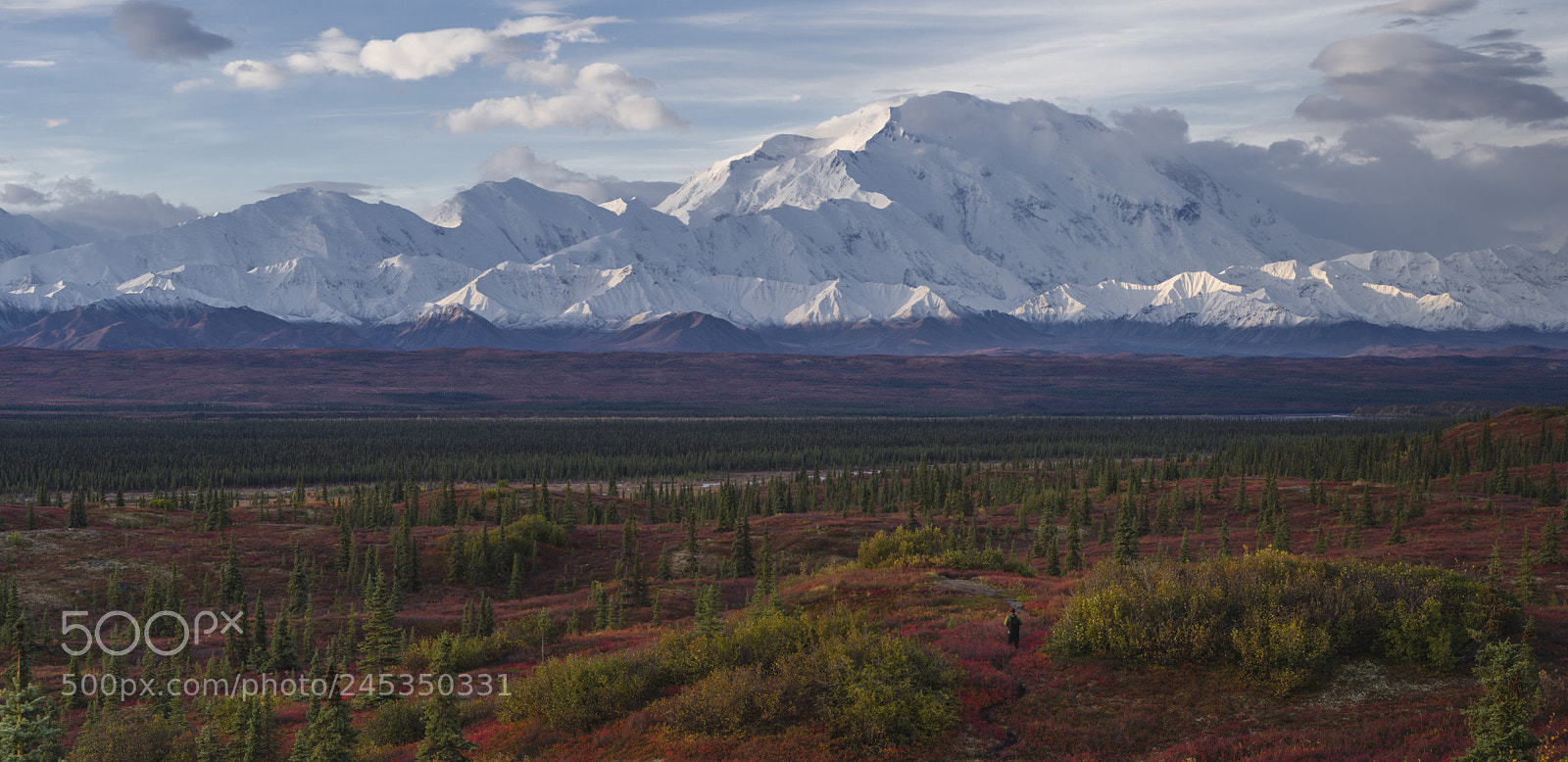 Pentax K-1 sample photo. Into the wilderness photography