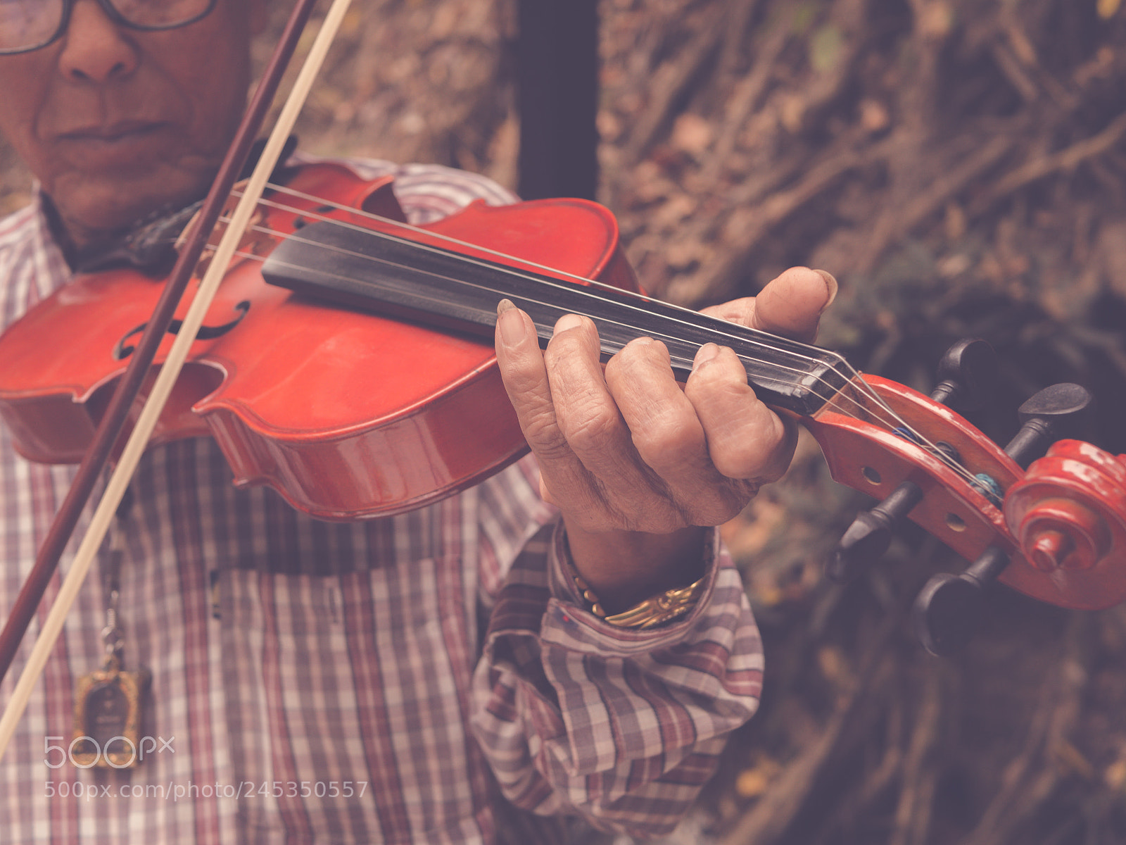 Olympus OM-D E-M10 sample photo. Musician play violin in photography