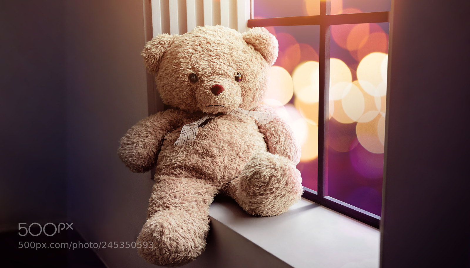 Nikon D7200 sample photo. Sadness and lonelyness concept photography