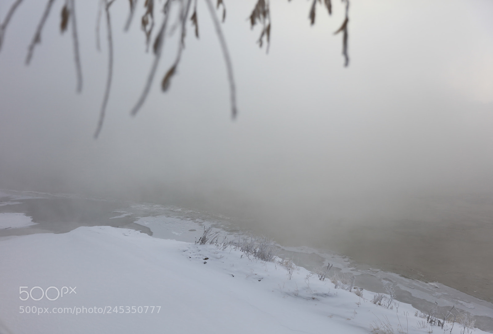 Canon EOS 5DS R sample photo. Foggy weather photography