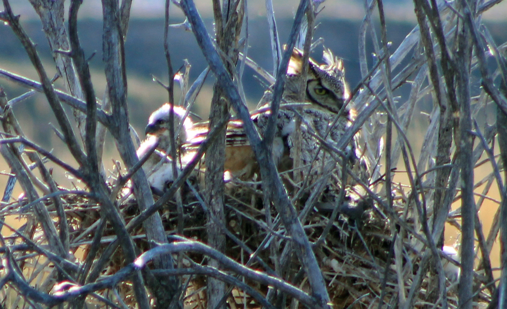 EF75-300mm f/4-5.6 sample photo. Edited photography