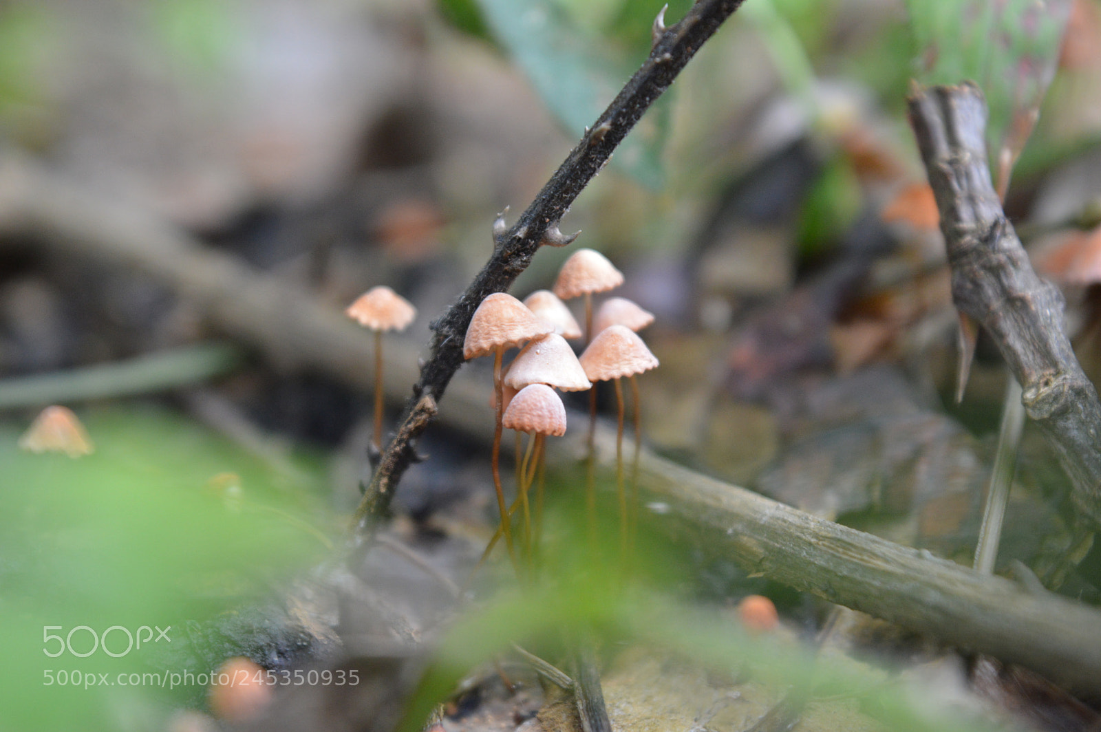 Nikon D3200 sample photo. Untitled photography