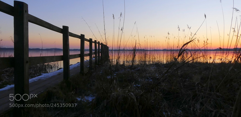 Panasonic Lumix DMC-FZ300 sample photo. Ammerland photography