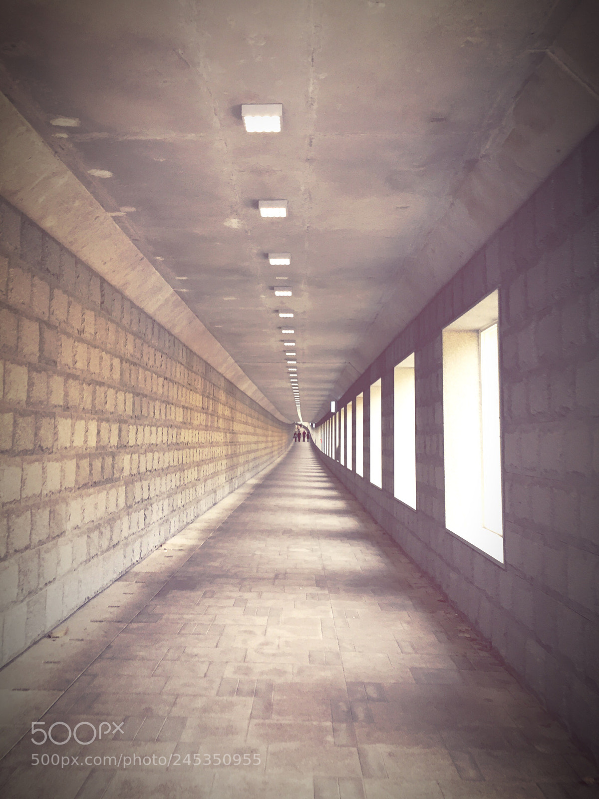Apple iPhone 6 sample photo. Tunnel photography