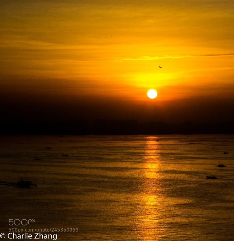Canon EOS-1D X sample photo. Untitled photography