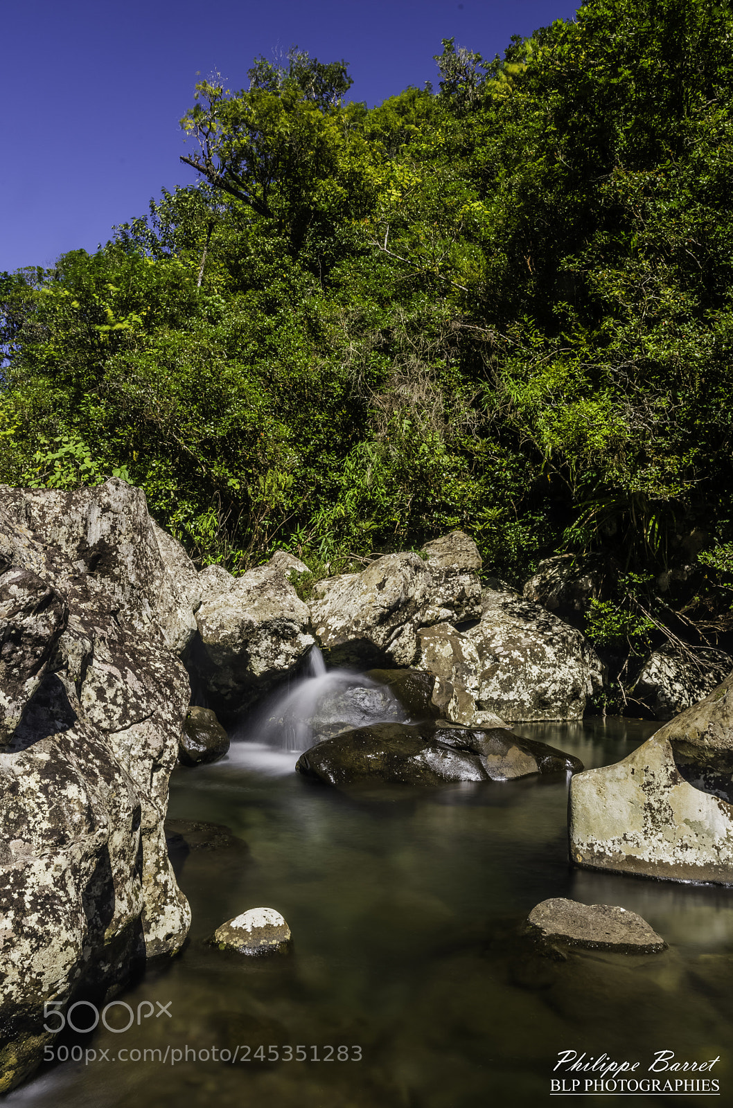 Nikon D7200 sample photo. Dans les hauts de photography